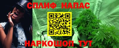 индика Донецк