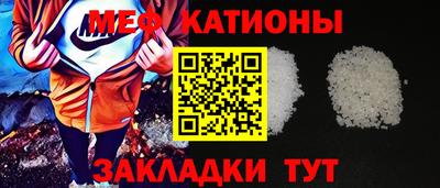 прущие грибы Донской