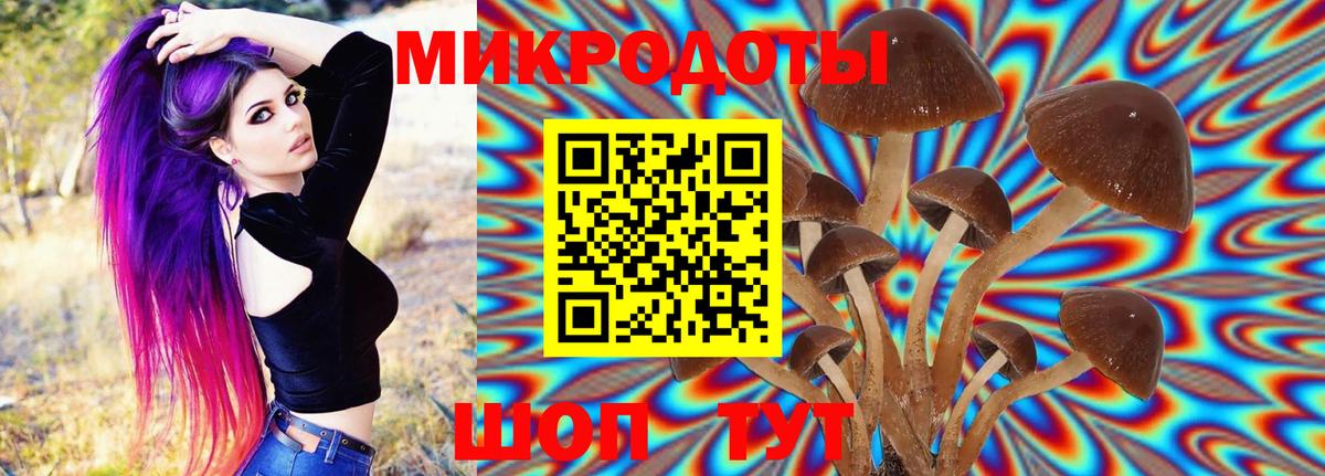 Галлюциногенные грибы MAGIC MUSHROOMS  Вход с VPN  Мирный  Псилоцибиновые грибы мицелий 