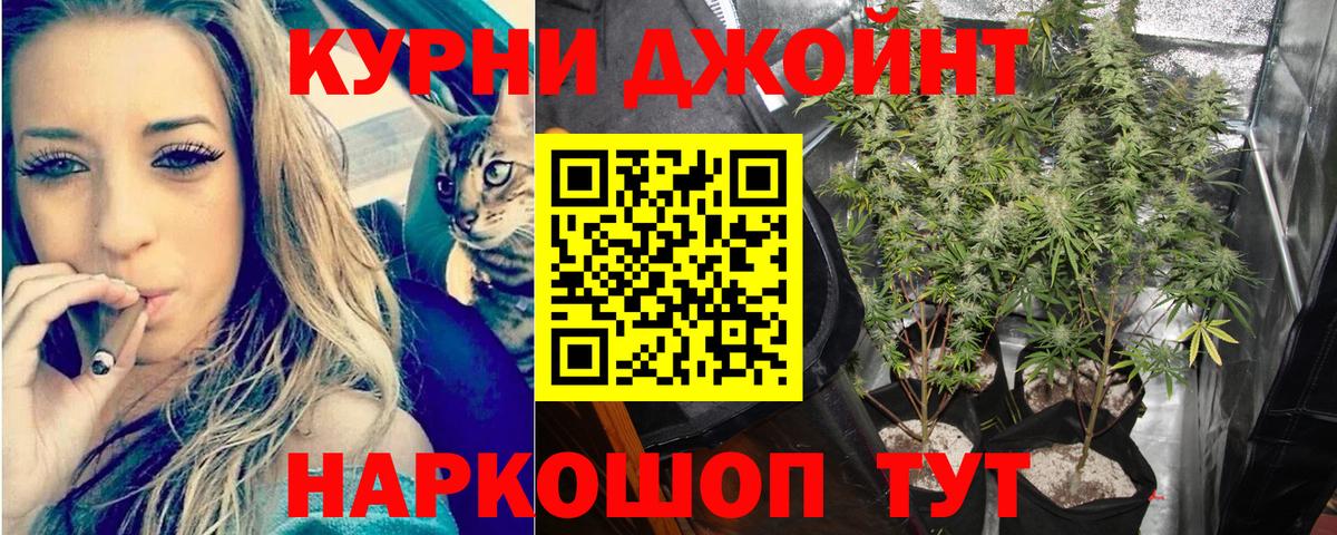 Конопля Ganja Мирный